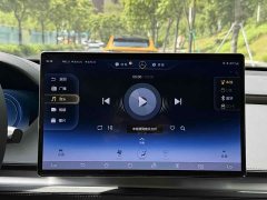 Denza X 2020 PHEV flagship version - фото 15