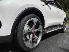 Denza X 2020 PHEV flagship version - фото 4