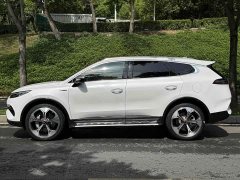 Denza X 2020 PHEV flagship version - фото 5