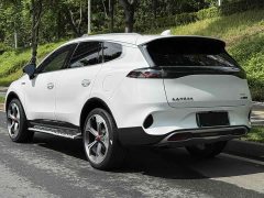 Denza X 2020 PHEV flagship version - фото 8