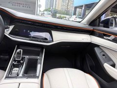 BMW Yixuan MAX 2023 1.5T Super Hot Dad Edition - фото 18