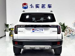 Havaldog 1.5T DCT two-wheel drive Labrador version - фото 8