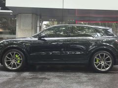 Porsche Cayenne New Energy Cayenne E-Hybrid 2.0T - фото 9