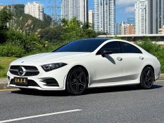 Mercedes-Benz CLS 300 Luxury - фото 1