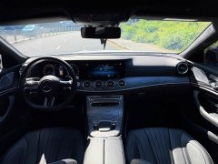 Mercedes-Benz CLS 300 Luxury - фото 10