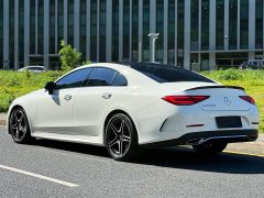 Mercedes-Benz CLS 300 Luxury - фото 14