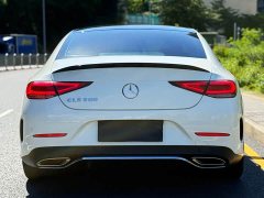 Mercedes-Benz CLS 300 Luxury - фото 15