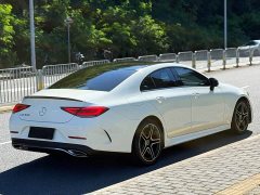 Mercedes-Benz CLS 300 Luxury - фото 16