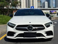 Mercedes-Benz CLS 300 Luxury - фото 2