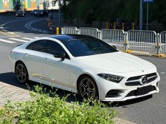 Mercedes-Benz CLS 300 Luxury - фото 3