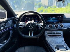 Mercedes-Benz CLS 300 Luxury - фото 8