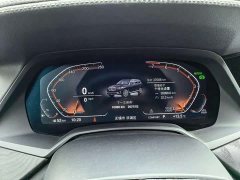 BMW X7 xDrive40i Leading Luxury Package - фото 10