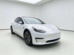 Tesla Model 3 standard range rear drive upgraded version 3D6 - фото 3