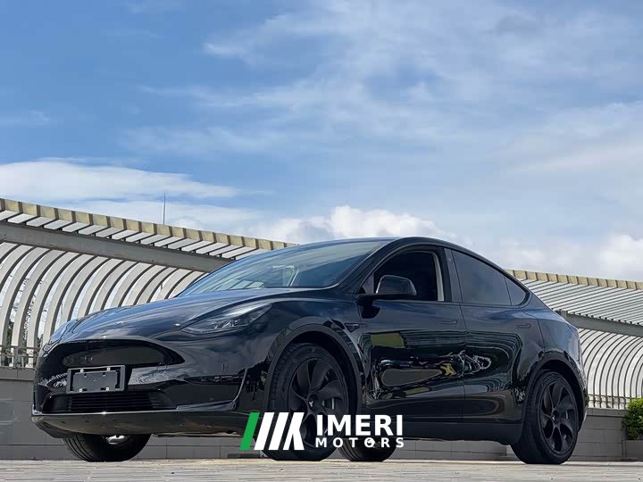 Tesla Model Y rear-wheel drive version - автомобиль из Китая
