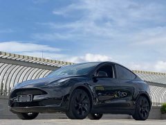 Tesla Model Y rear-wheel drive version - фото 1