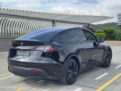 Tesla Model Y rear-wheel drive version - фото 10