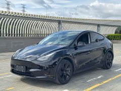 Tesla Model Y rear-wheel drive version - фото 2