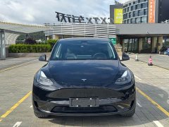 Tesla Model Y rear-wheel drive version - фото 3
