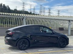Tesla Model Y rear-wheel drive version - фото 6