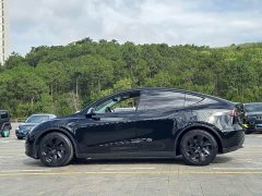 Tesla Model Y rear-wheel drive version - фото 7