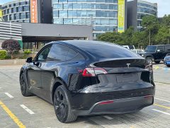 Tesla Model Y rear-wheel drive version - фото 8