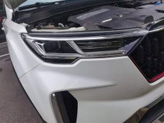 Lexus Pentium T33 1.2T DCT luxury - фото 7