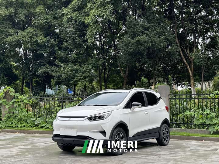 BYD Yuan Pro 2021 401KM Premium Edition - автомобиль из Китая