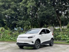 BYD Yuan Pro 2021 401KM Premium Edition - фото 1