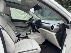 BYD Yuan Pro 2021 401KM Premium Edition - фото 14