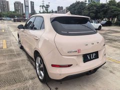 Lexus Euler Good Cat 401km Luxury - фото 12