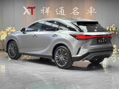 Lexus RX 350h four-wheel drive premium version - фото 8