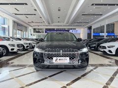 Lynk & Co Adventurer 2.0T two-wheel drive exclusive edition - фото 3