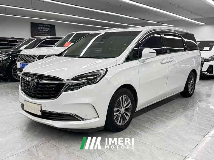 Buick GL8 ES Lu Zun 653T Exclusive Type