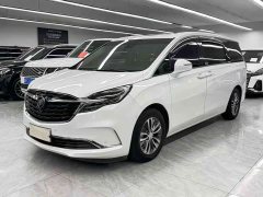 Buick GL8 ES Lu Zun 653T Exclusive Type - фото 1