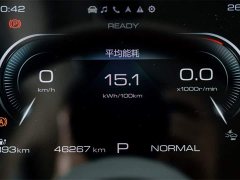 Lexus Euler Good Cat 401km standard battery life luxury lithium iron phosphate - фото 10