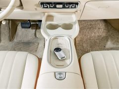 Lexus Euler Good Cat 401km standard battery life luxury lithium iron phosphate - фото 14