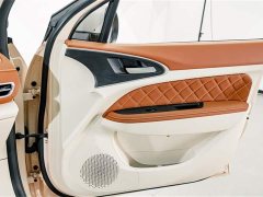 Lexus Euler Good Cat 401km standard battery life luxury lithium iron phosphate - фото 15
