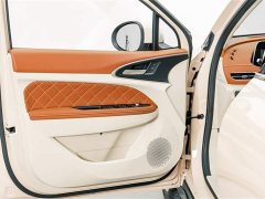 Lexus Euler Good Cat 401km standard battery life luxury lithium iron phosphate - фото 16