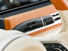 Lexus Euler Good Cat 401km standard battery life luxury lithium iron phosphate - фото 17