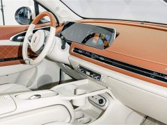 Lexus Euler Good Cat 401km standard battery life luxury lithium iron phosphate - фото 18