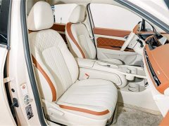 Lexus Euler Good Cat 401km standard battery life luxury lithium iron phosphate - фото 19
