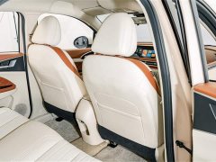 Lexus Euler Good Cat 401km standard battery life luxury lithium iron phosphate - фото 20