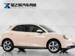 Lexus Euler Good Cat 401km standard battery life luxury lithium iron phosphate - фото 5