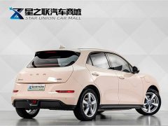 Lexus Euler Good Cat 401km standard battery life luxury lithium iron phosphate - фото 6