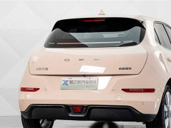 Lexus Euler Good Cat 401km standard battery life luxury lithium iron phosphate - фото 7