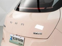 Lexus Euler Good Cat 401km standard battery life luxury lithium iron phosphate - фото 8
