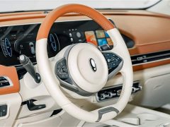 Lexus Euler Good Cat 401km standard battery life luxury lithium iron phosphate - фото 9