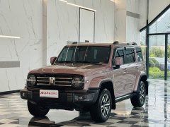 Tank 300 City Edition 2.0T Very Stylish - фото 1