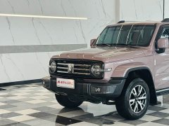 Tank 300 City Edition 2.0T Very Stylish - фото 3