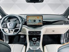 BYD Song PLUS New Energy 2021 DM-i 51KM Honor Type - фото 12